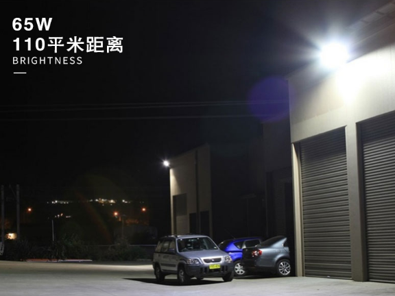 室外亮化工程有經(jīng)驗的施工單位 誠信經(jīng)營 中山茂碩科技供應