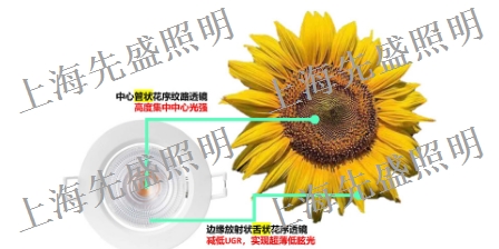 廣東裝修燈具廠家 歡迎來電 上海先盛照明電器供應