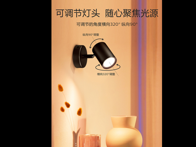 溫州控制智能燈廠家「上海先盛照明電器供應(yīng)」